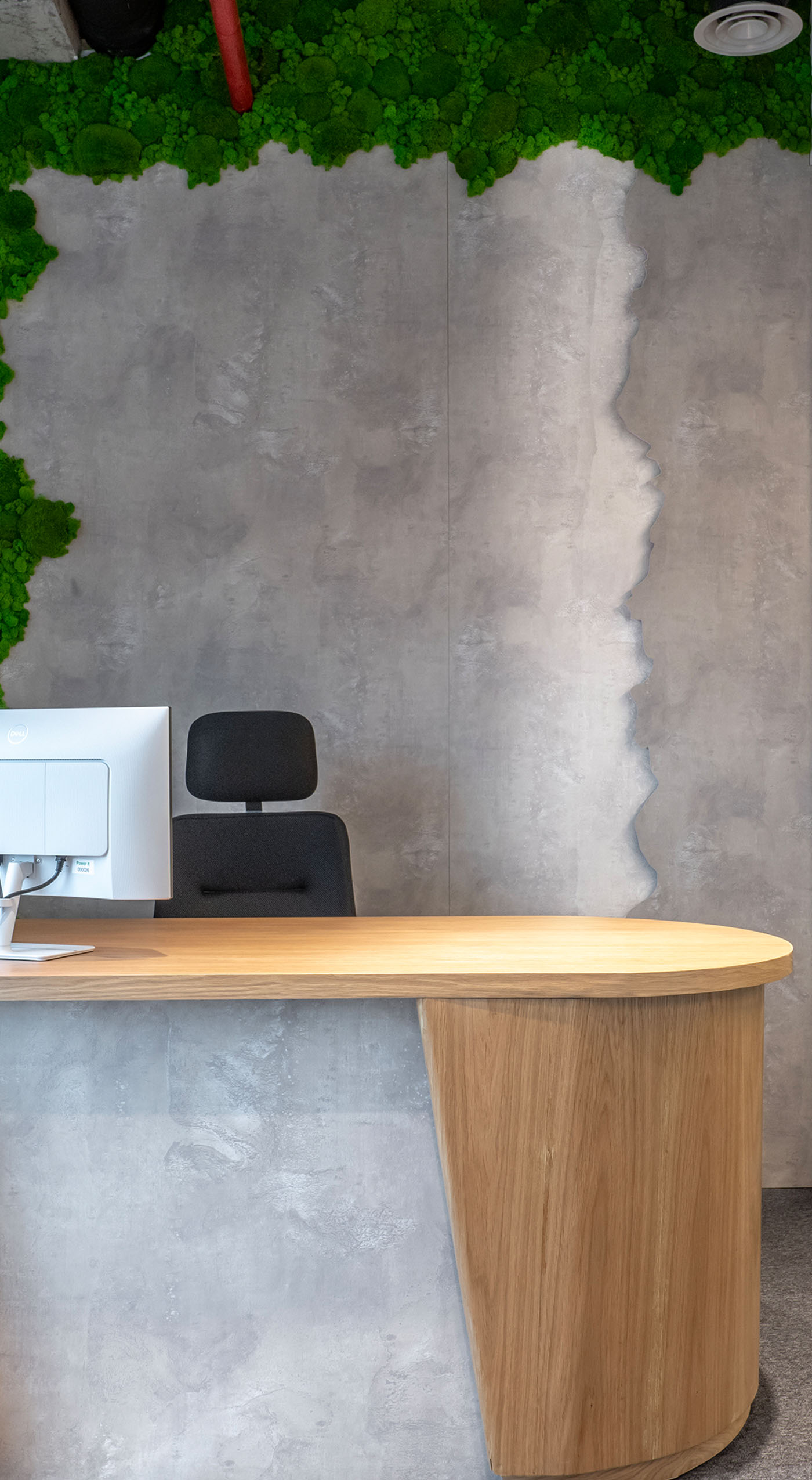 Office 8